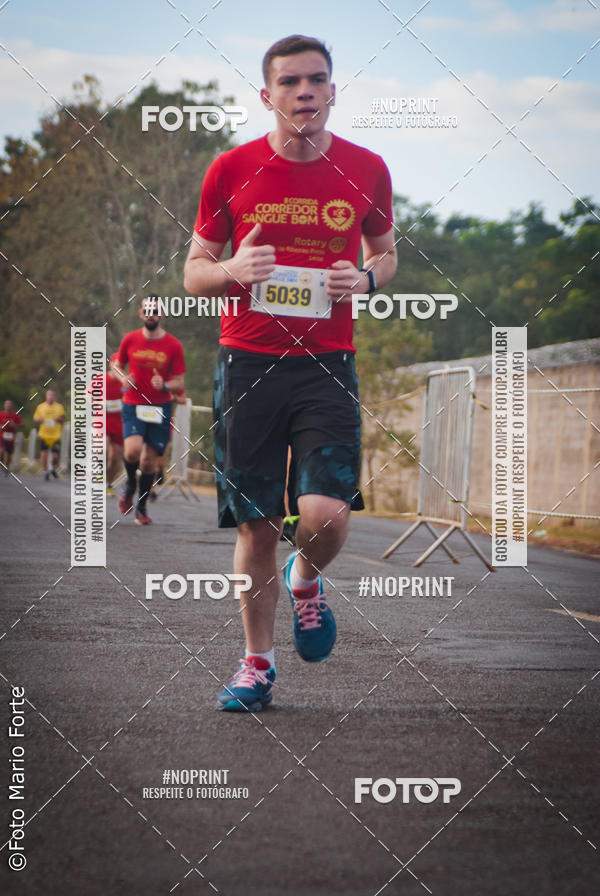 Buy your photos of the event2� CORRIDA CORREDOR SANGUE BOM on Fotop