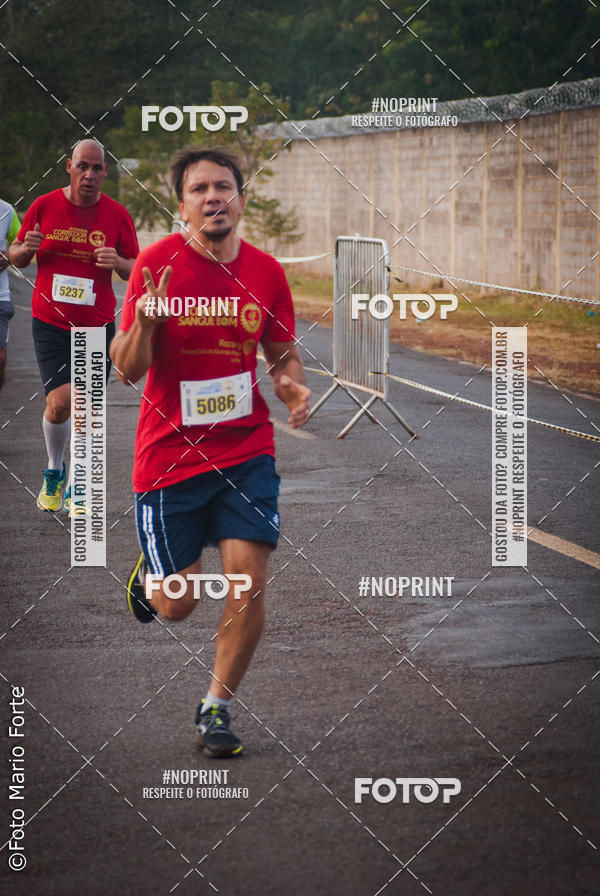 Buy your photos of the event2� CORRIDA CORREDOR SANGUE BOM on Fotop