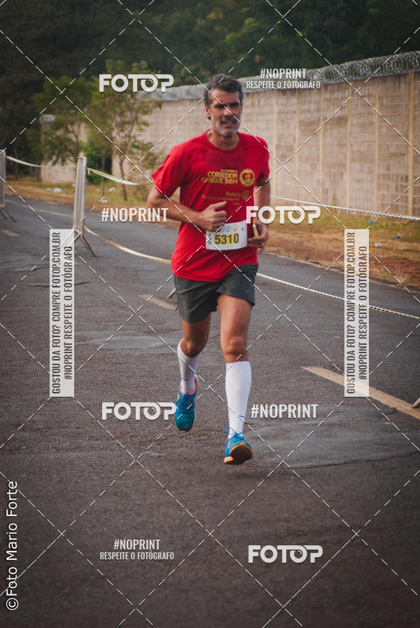 Buy your photos of the event2� CORRIDA CORREDOR SANGUE BOM on Fotop
