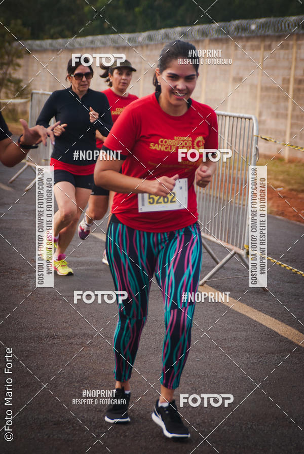 Buy your photos of the event2� CORRIDA CORREDOR SANGUE BOM on Fotop