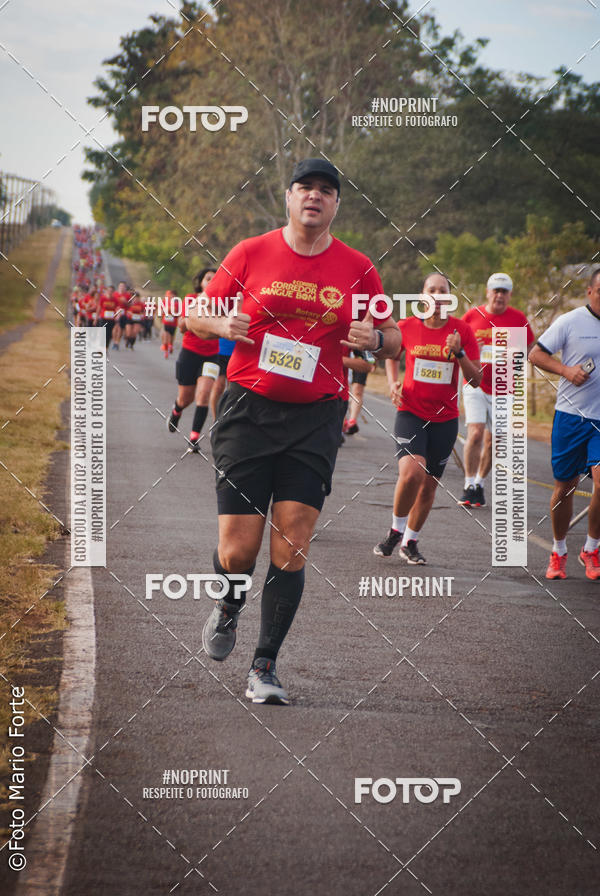 Buy your photos of the event2� CORRIDA CORREDOR SANGUE BOM on Fotop