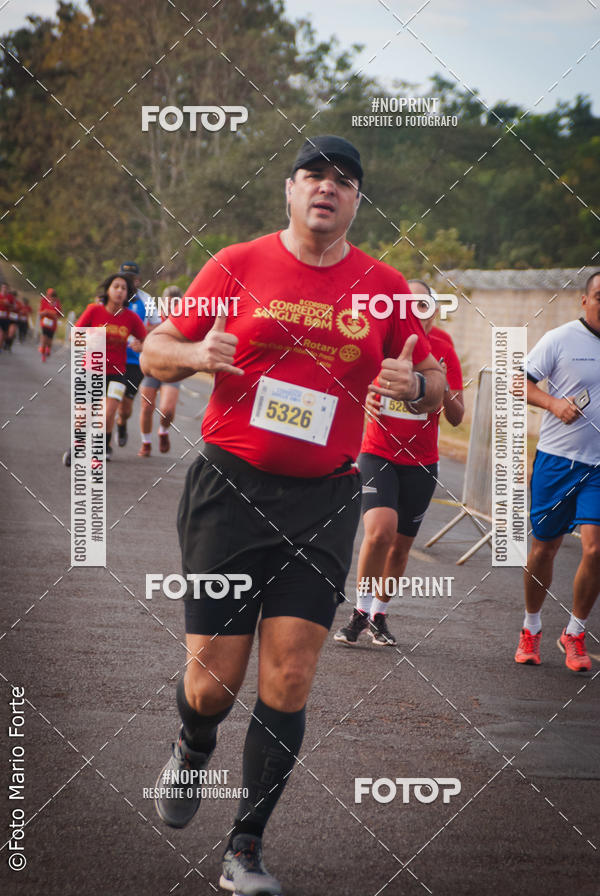 Buy your photos of the event2� CORRIDA CORREDOR SANGUE BOM on Fotop