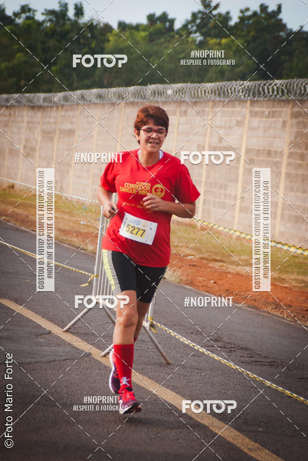 Buy your photos of the event2� CORRIDA CORREDOR SANGUE BOM on Fotop