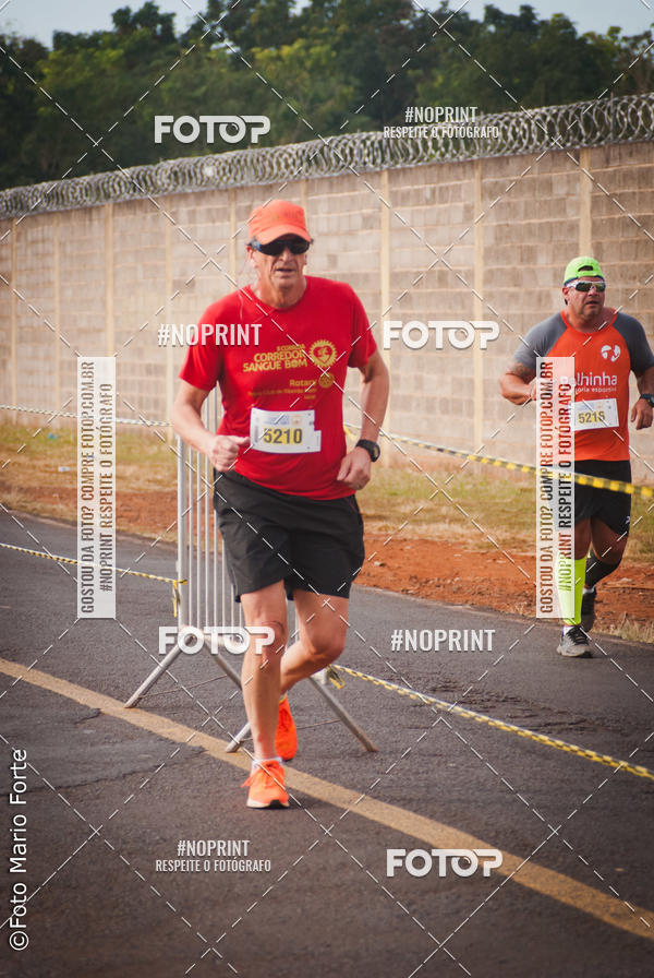 Buy your photos of the event2� CORRIDA CORREDOR SANGUE BOM on Fotop