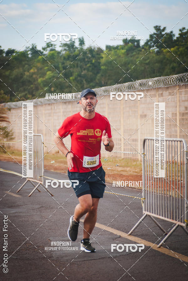 Buy your photos of the event2� CORRIDA CORREDOR SANGUE BOM on Fotop