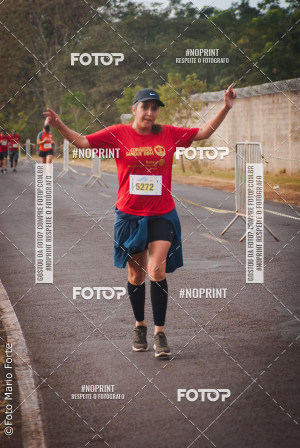 Buy your photos of the event2� CORRIDA CORREDOR SANGUE BOM on Fotop