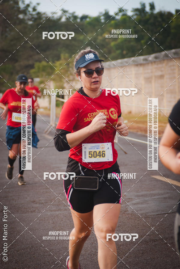Buy your photos of the event2� CORRIDA CORREDOR SANGUE BOM on Fotop