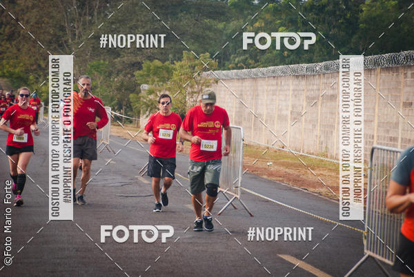 Buy your photos of the event2� CORRIDA CORREDOR SANGUE BOM on Fotop