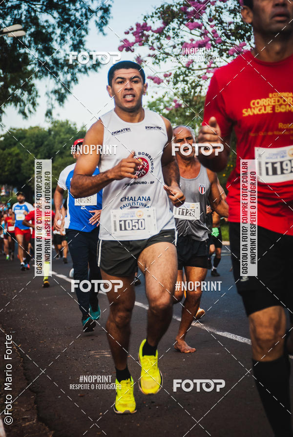 Buy your photos of the event2� CORRIDA CORREDOR SANGUE BOM on Fotop