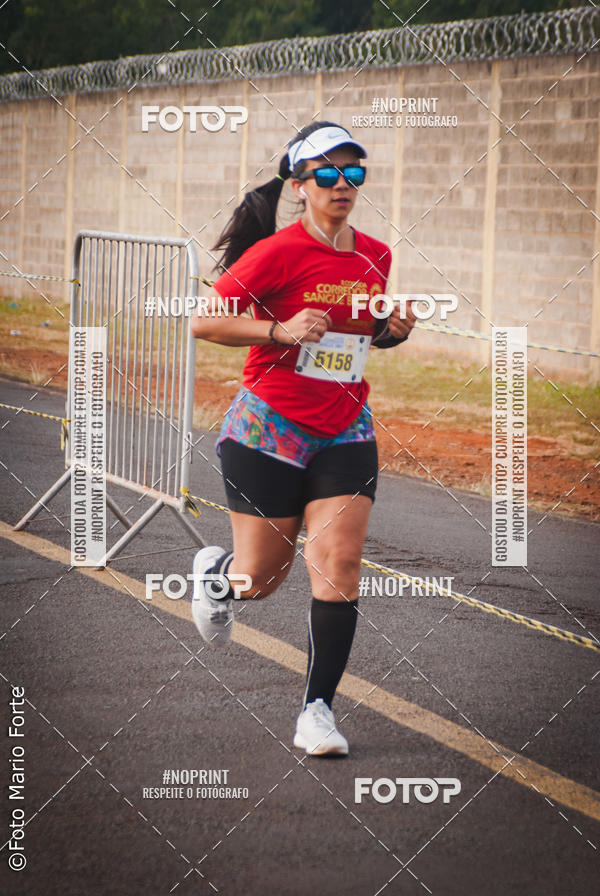 Buy your photos of the event2� CORRIDA CORREDOR SANGUE BOM on Fotop