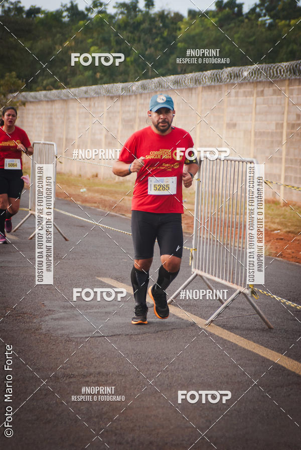 Buy your photos of the event2� CORRIDA CORREDOR SANGUE BOM on Fotop