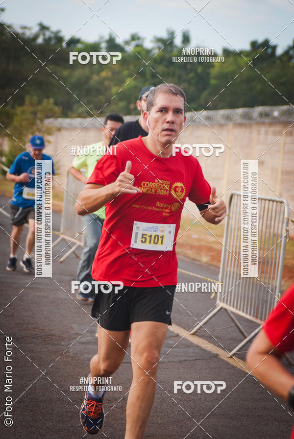 Buy your photos of the event2� CORRIDA CORREDOR SANGUE BOM on Fotop