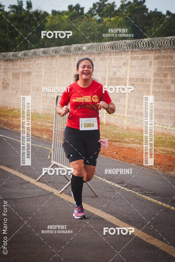 Buy your photos of the event2� CORRIDA CORREDOR SANGUE BOM on Fotop