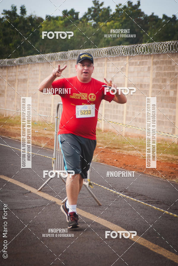 Buy your photos of the event2� CORRIDA CORREDOR SANGUE BOM on Fotop