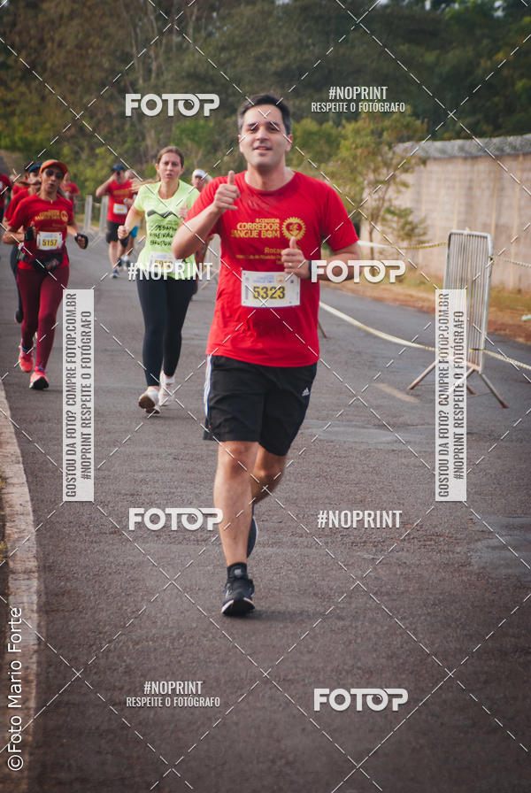 Buy your photos of the event2� CORRIDA CORREDOR SANGUE BOM on Fotop