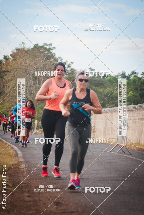 Buy your photos of the event2� CORRIDA CORREDOR SANGUE BOM on Fotop