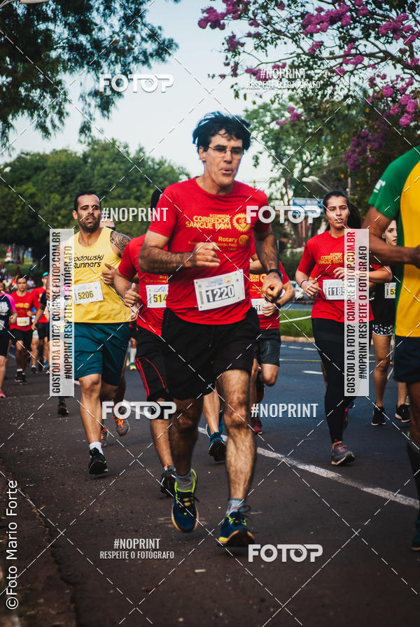 Buy your photos of the event2� CORRIDA CORREDOR SANGUE BOM on Fotop