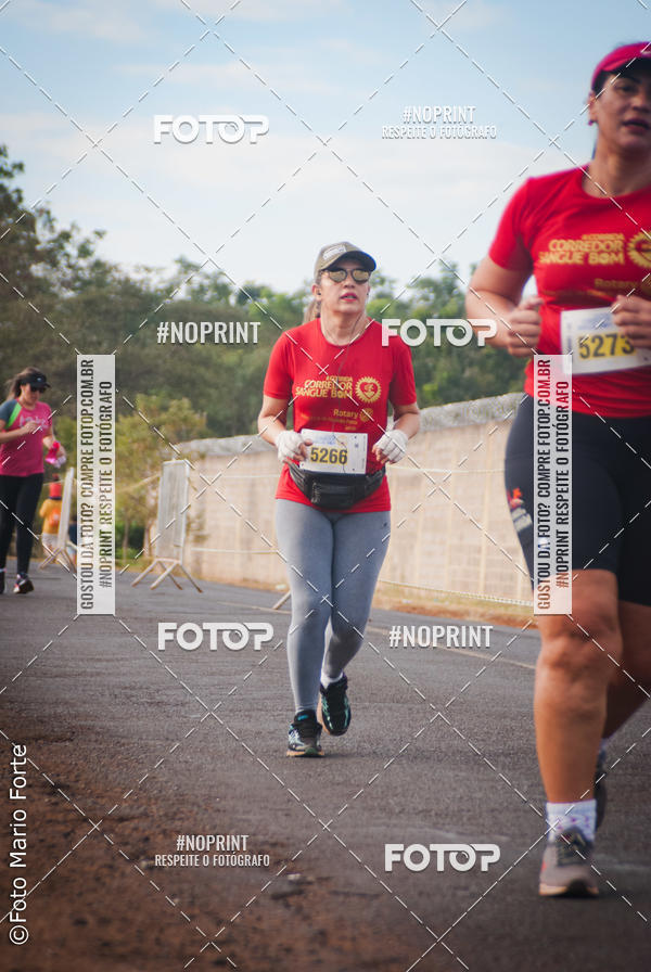 Buy your photos of the event2� CORRIDA CORREDOR SANGUE BOM on Fotop