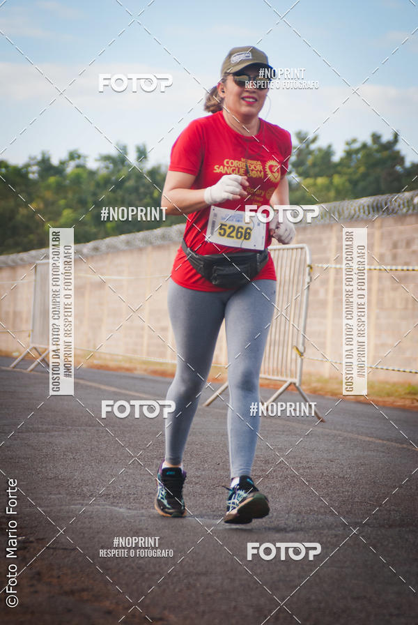 Buy your photos of the event2� CORRIDA CORREDOR SANGUE BOM on Fotop