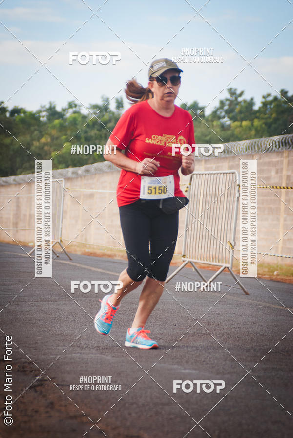 Buy your photos of the event2� CORRIDA CORREDOR SANGUE BOM on Fotop