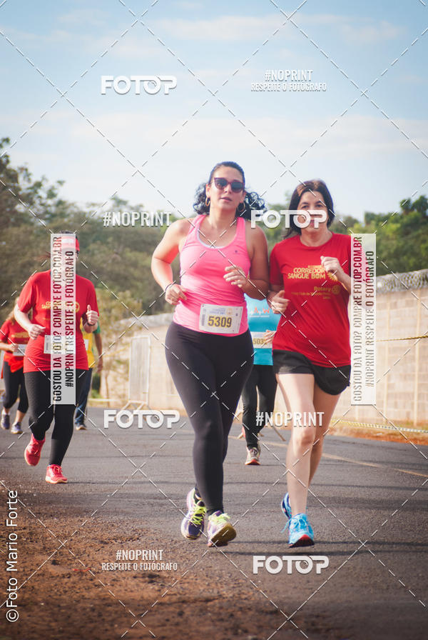Buy your photos of the event2� CORRIDA CORREDOR SANGUE BOM on Fotop
