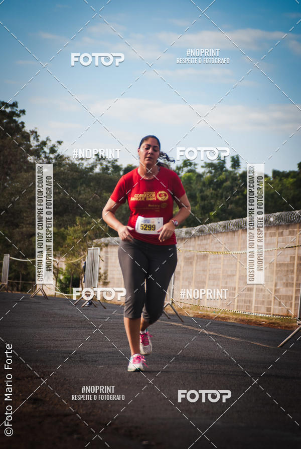 Buy your photos of the event2� CORRIDA CORREDOR SANGUE BOM on Fotop