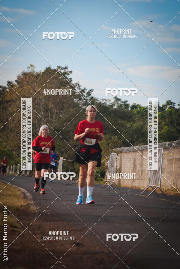 Buy your photos of the event2� CORRIDA CORREDOR SANGUE BOM on Fotop