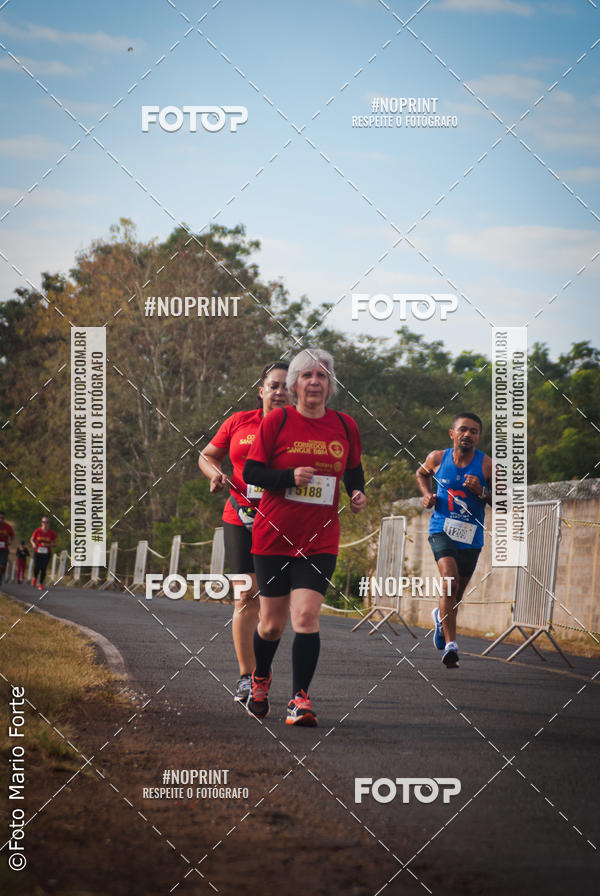 Buy your photos of the event2� CORRIDA CORREDOR SANGUE BOM on Fotop