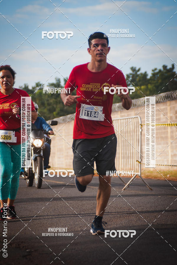 Buy your photos of the event2� CORRIDA CORREDOR SANGUE BOM on Fotop