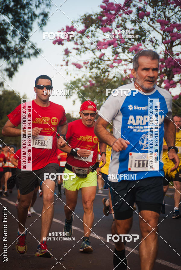 Buy your photos of the event2� CORRIDA CORREDOR SANGUE BOM on Fotop