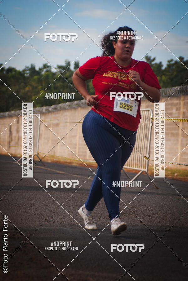 Buy your photos of the event2� CORRIDA CORREDOR SANGUE BOM on Fotop