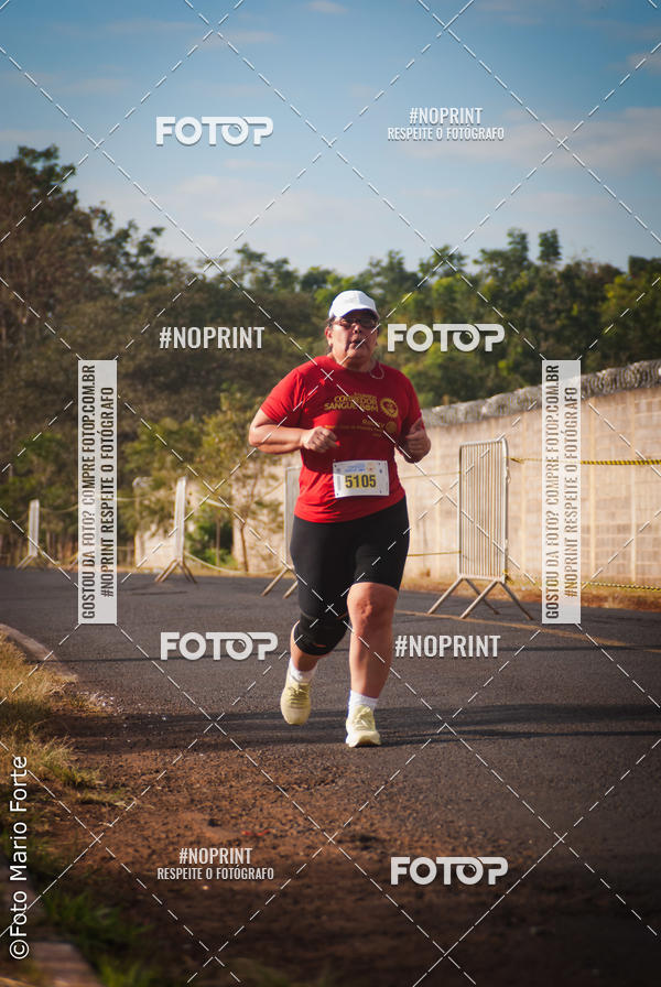 Buy your photos of the event2� CORRIDA CORREDOR SANGUE BOM on Fotop