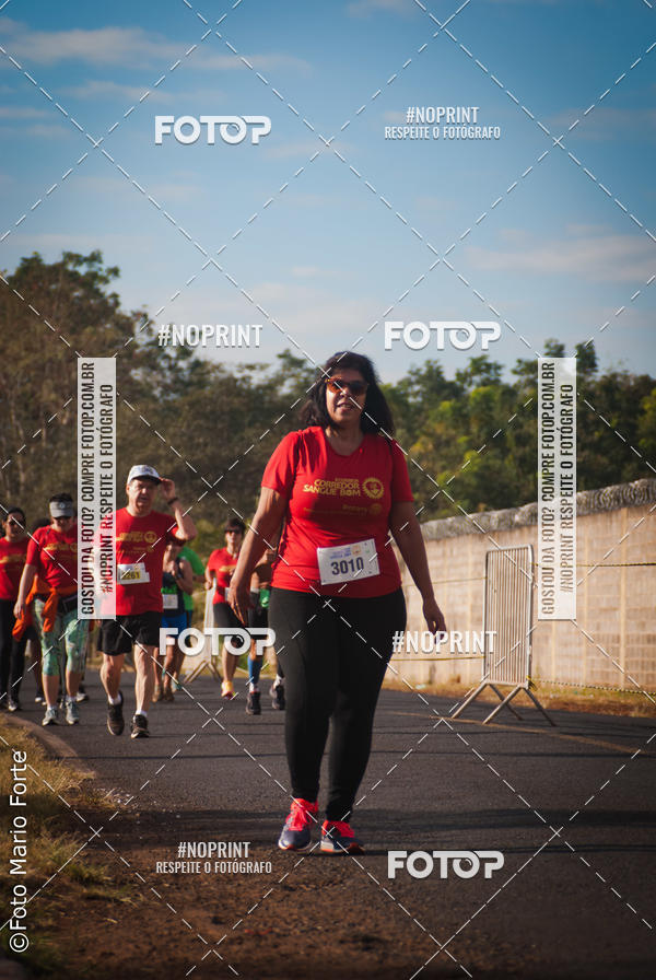 Buy your photos of the event2� CORRIDA CORREDOR SANGUE BOM on Fotop