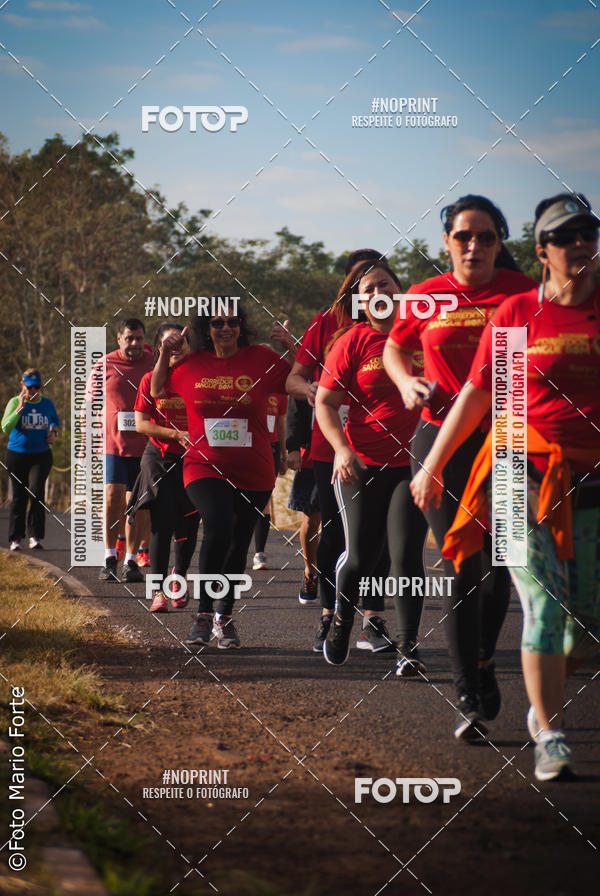 Buy your photos of the event2� CORRIDA CORREDOR SANGUE BOM on Fotop