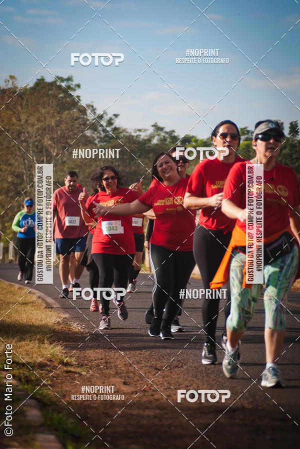 Buy your photos of the event2� CORRIDA CORREDOR SANGUE BOM on Fotop