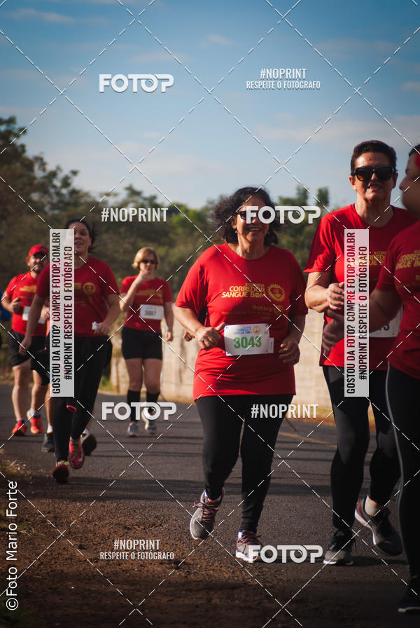 Buy your photos of the event2� CORRIDA CORREDOR SANGUE BOM on Fotop