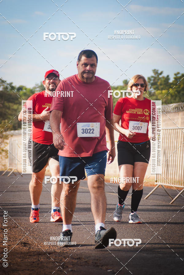 Buy your photos of the event2� CORRIDA CORREDOR SANGUE BOM on Fotop