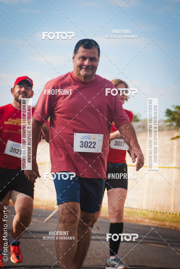 Buy your photos of the event2� CORRIDA CORREDOR SANGUE BOM on Fotop