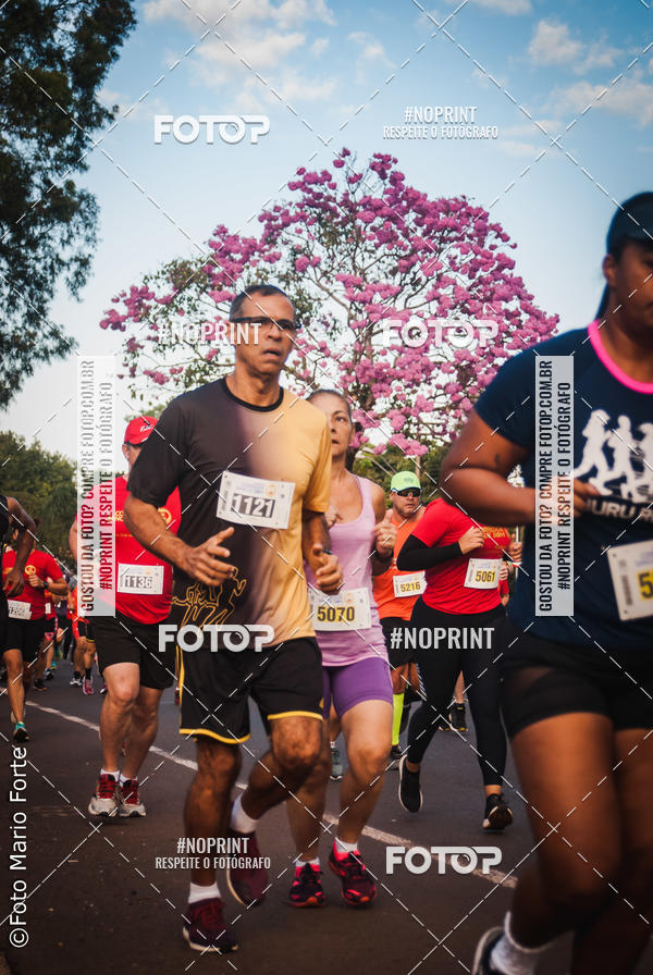 Buy your photos of the event2� CORRIDA CORREDOR SANGUE BOM on Fotop