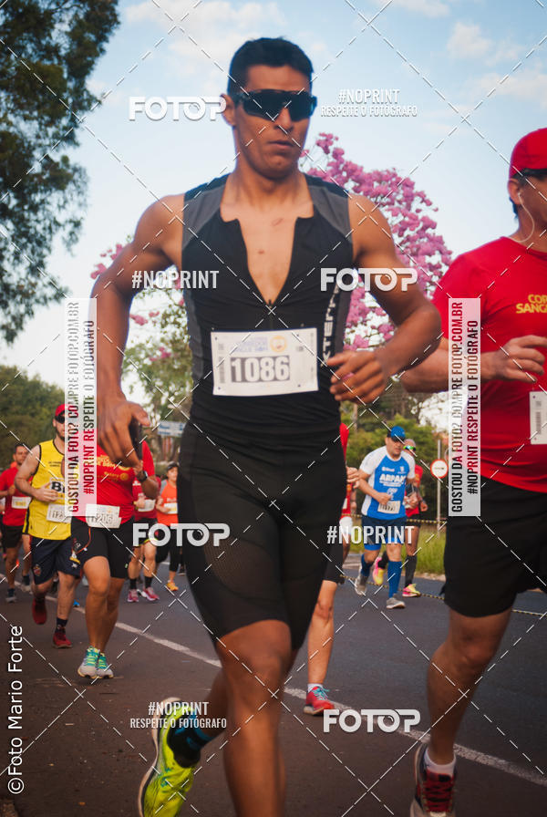 Buy your photos of the event2� CORRIDA CORREDOR SANGUE BOM on Fotop