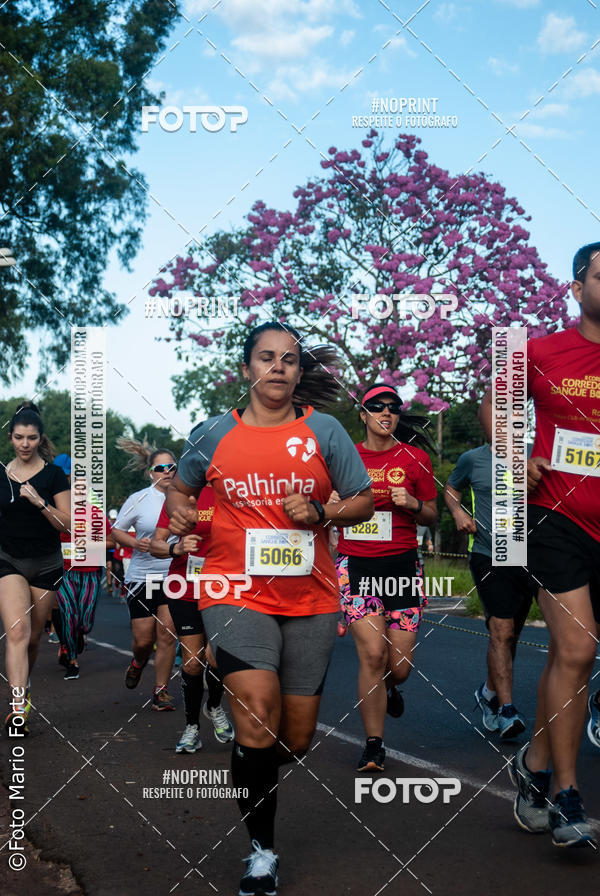 Buy your photos of the event2� CORRIDA CORREDOR SANGUE BOM on Fotop