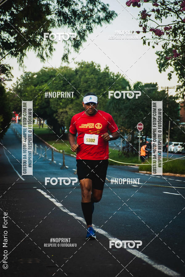 Buy your photos of the event2� CORRIDA CORREDOR SANGUE BOM on Fotop