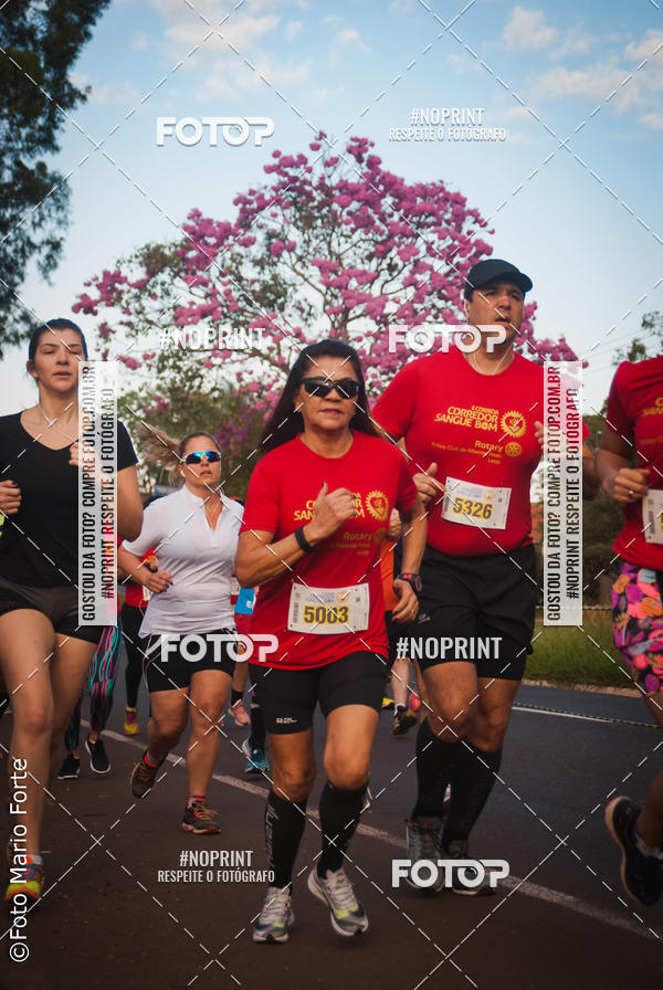 Buy your photos of the event2� CORRIDA CORREDOR SANGUE BOM on Fotop