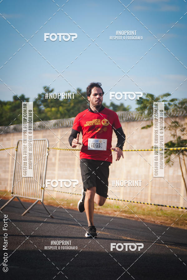 Buy your photos of the event2� CORRIDA CORREDOR SANGUE BOM on Fotop