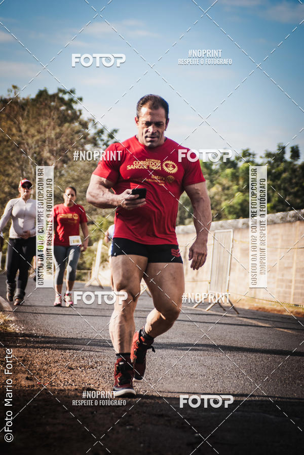 Buy your photos of the event2� CORRIDA CORREDOR SANGUE BOM on Fotop