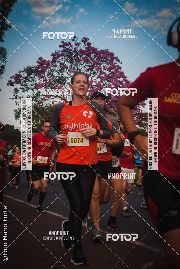 Buy your photos of the event2� CORRIDA CORREDOR SANGUE BOM on Fotop