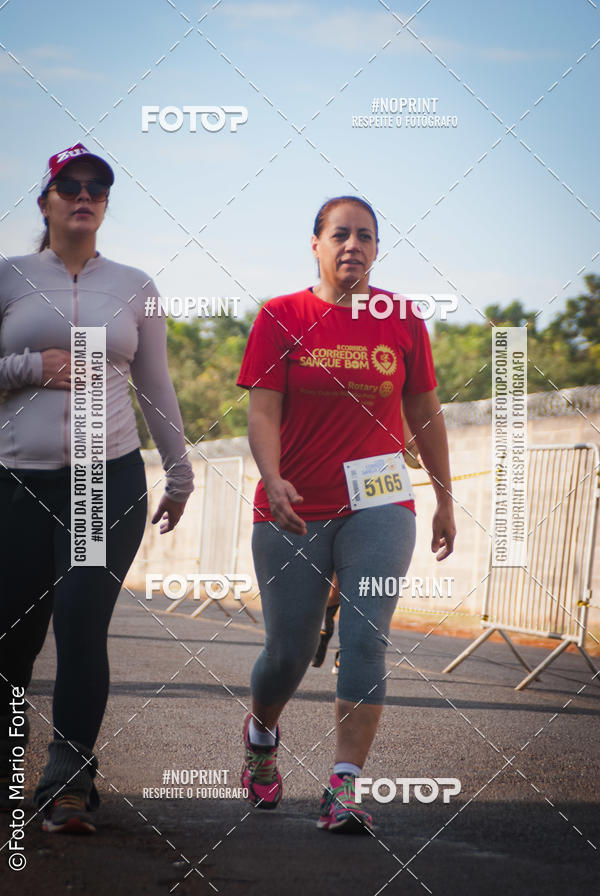 Buy your photos of the event2� CORRIDA CORREDOR SANGUE BOM on Fotop