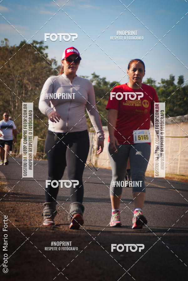 Buy your photos of the event2� CORRIDA CORREDOR SANGUE BOM on Fotop
