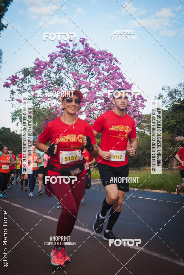 Buy your photos of the event2� CORRIDA CORREDOR SANGUE BOM on Fotop