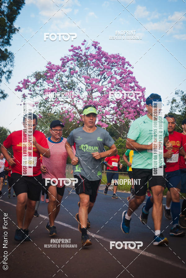 Buy your photos of the event2� CORRIDA CORREDOR SANGUE BOM on Fotop